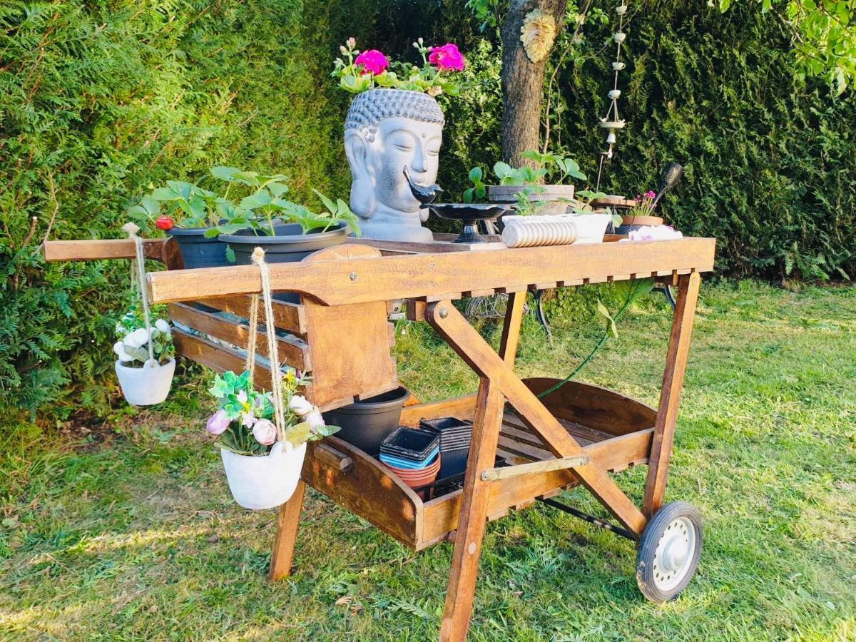 Maison Blanche De Hudson Cussac  Exteriör bild